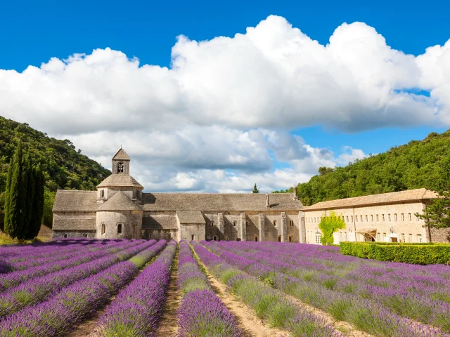 Luberon - Abbaye de Sénanque