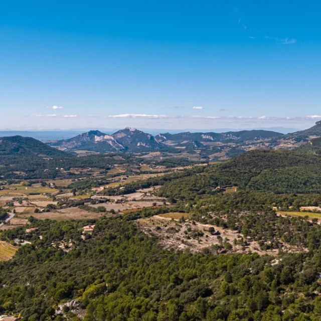 Vue sur le Ventoux