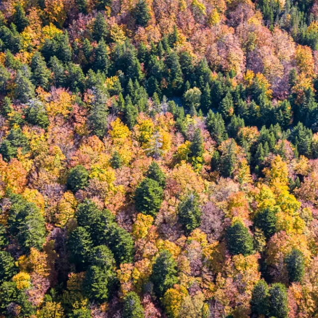 Vue Ventoux Drone