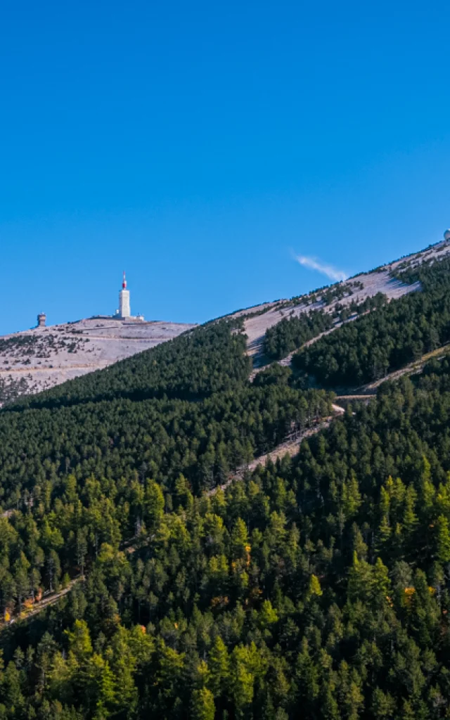 Vue Ventoux Drone