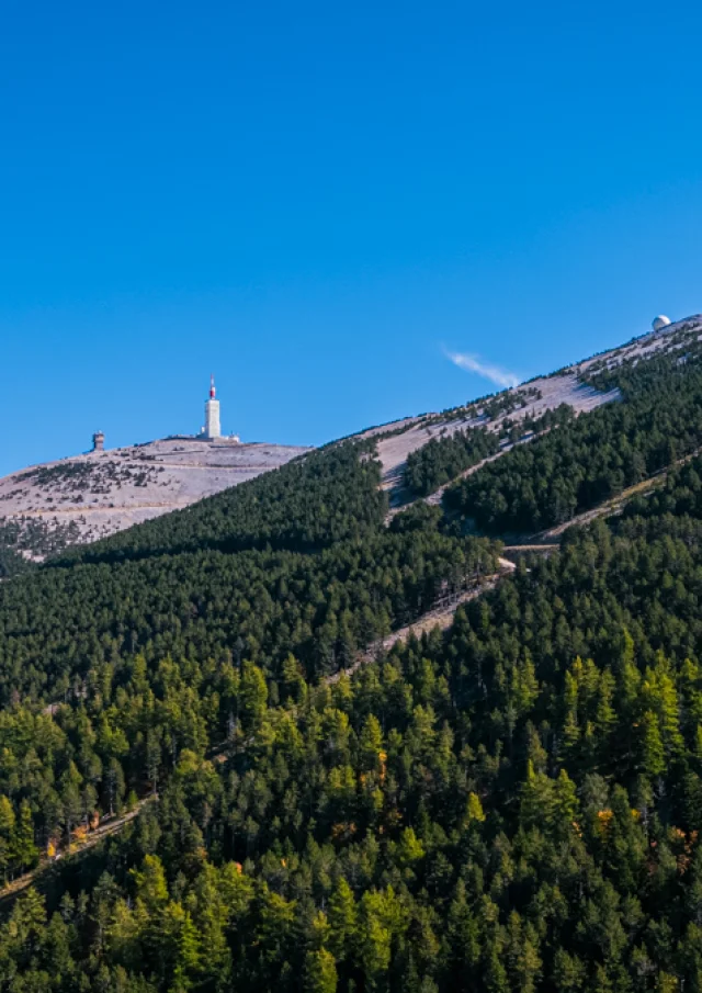 Ventoux Drone view