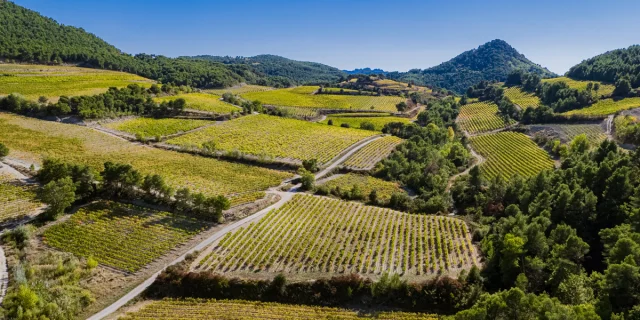 Vue Dentelles de Montmirail