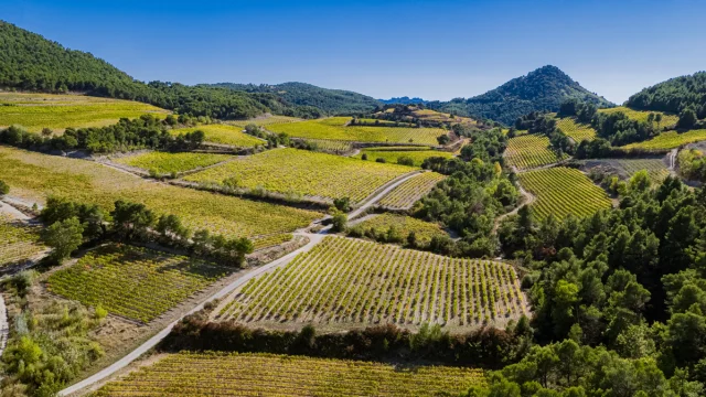 Vue Dentelles de Montmirail