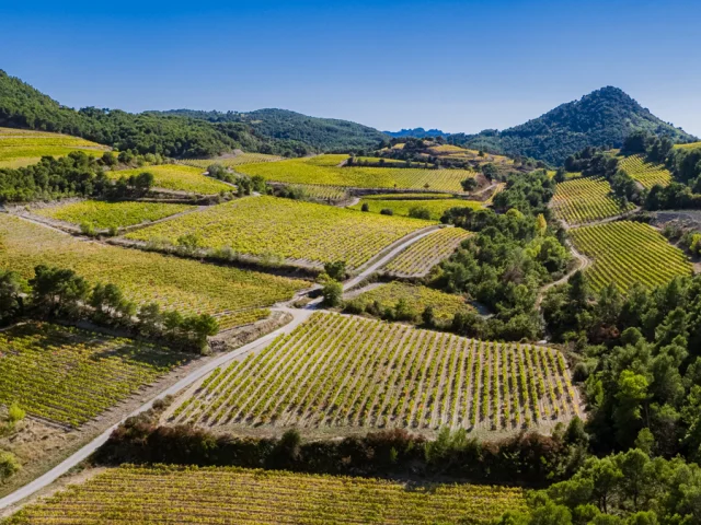 Vue Dentelles de Montmirail