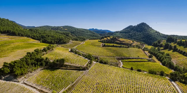 Ansicht Dentelles Drone