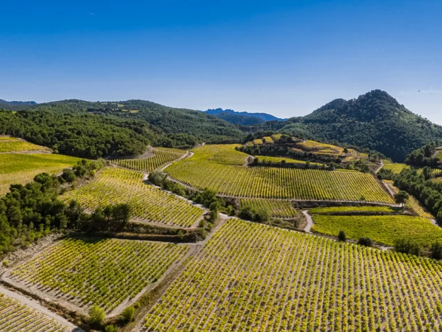 Vue Dentelles Drone