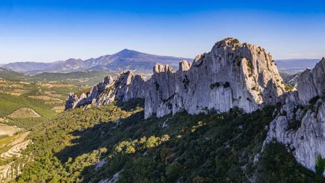 Vue sur les Dentelles de Montmirail