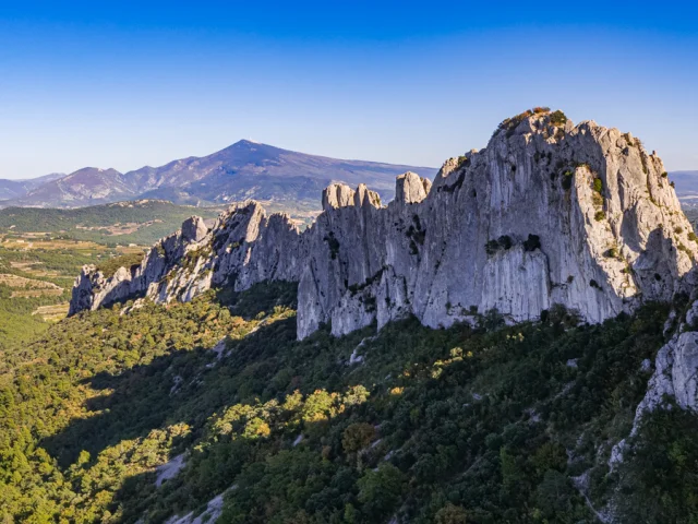 Vue sur les Dentelles de Montmirail