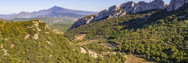 Vue Dentelles Drone