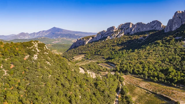 Ansicht Dentelles Drone