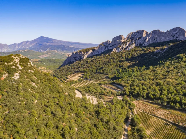 Vue Dentelles Drone