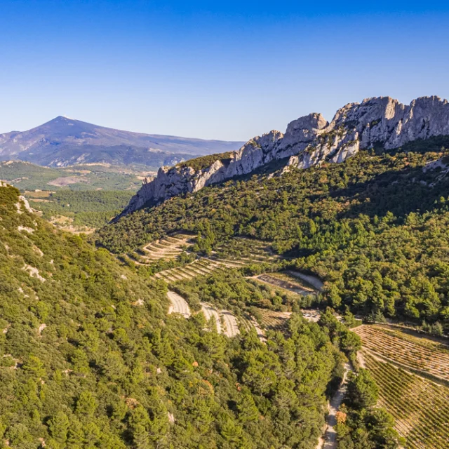 Vue Dentelles Drone