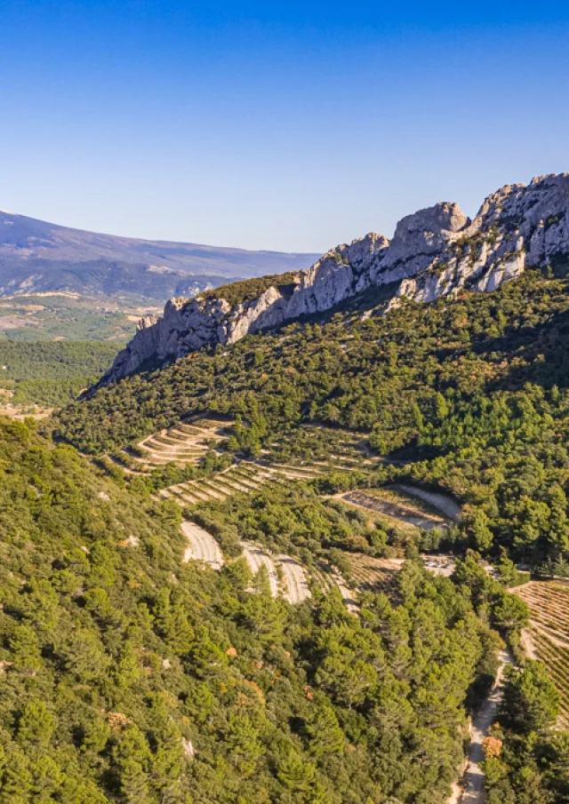 Ansicht Dentelles Drone