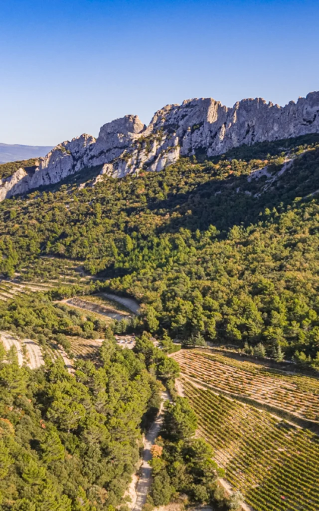 Blick auf die Dentelles de Montmirail