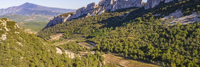 Uitzicht op de Dentelles de Montmirail