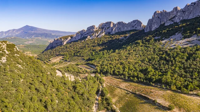 Vue sur les Dentelles de Montmirail