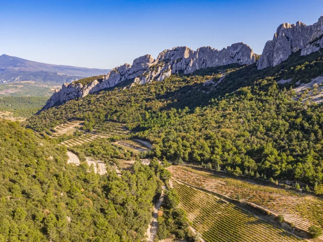 Vue sur les Dentelles de Montmirail