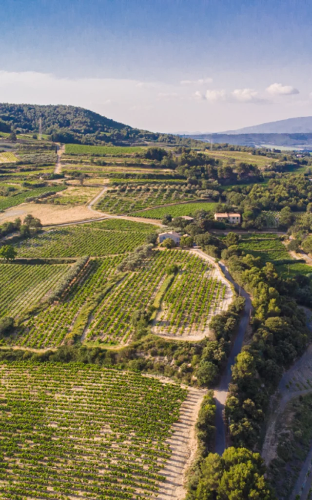 Vue sur les vignobles