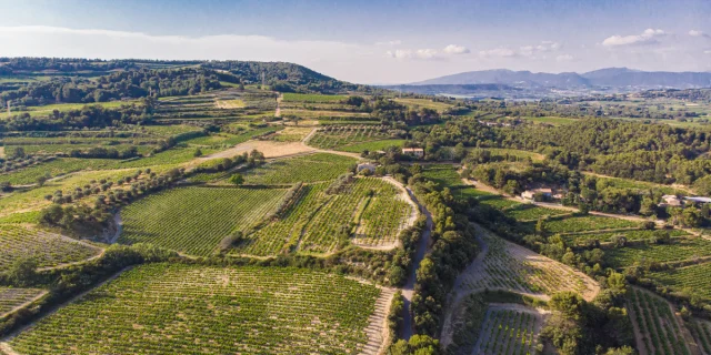 Vue sur les vignobles