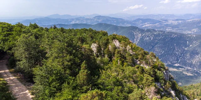 Ventoux Drohne