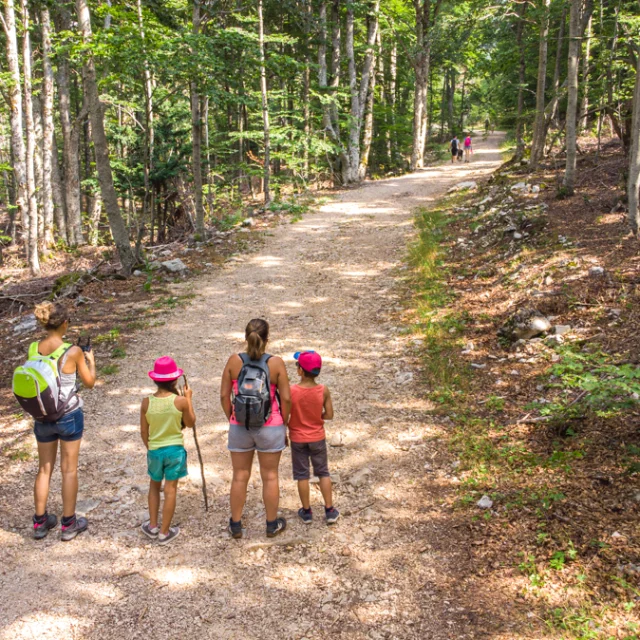 Hiking in the Ventoux