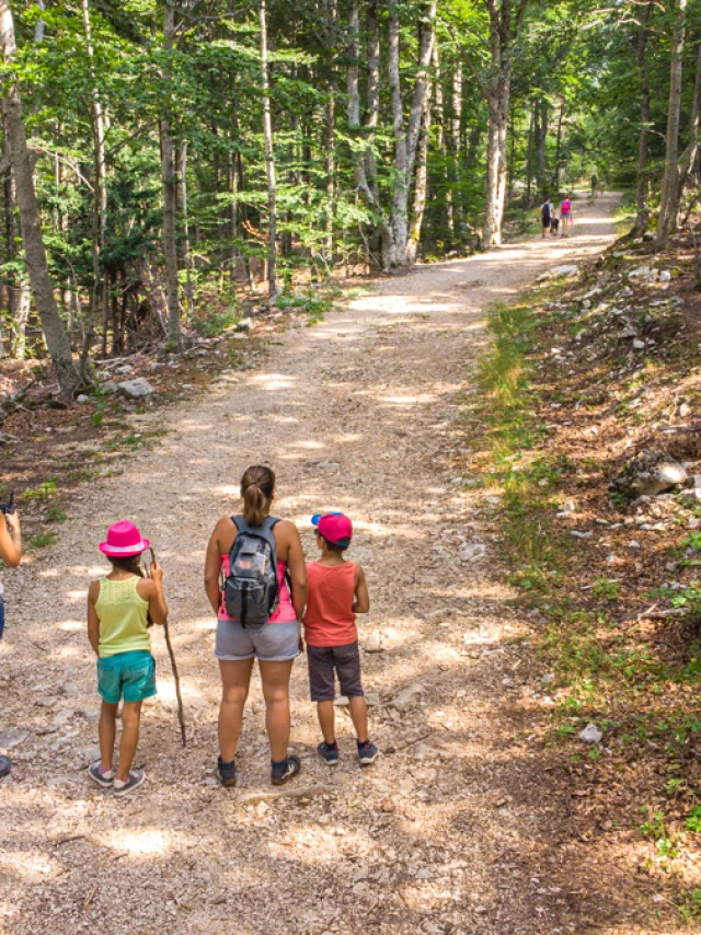 Wandelen in de Ventoux