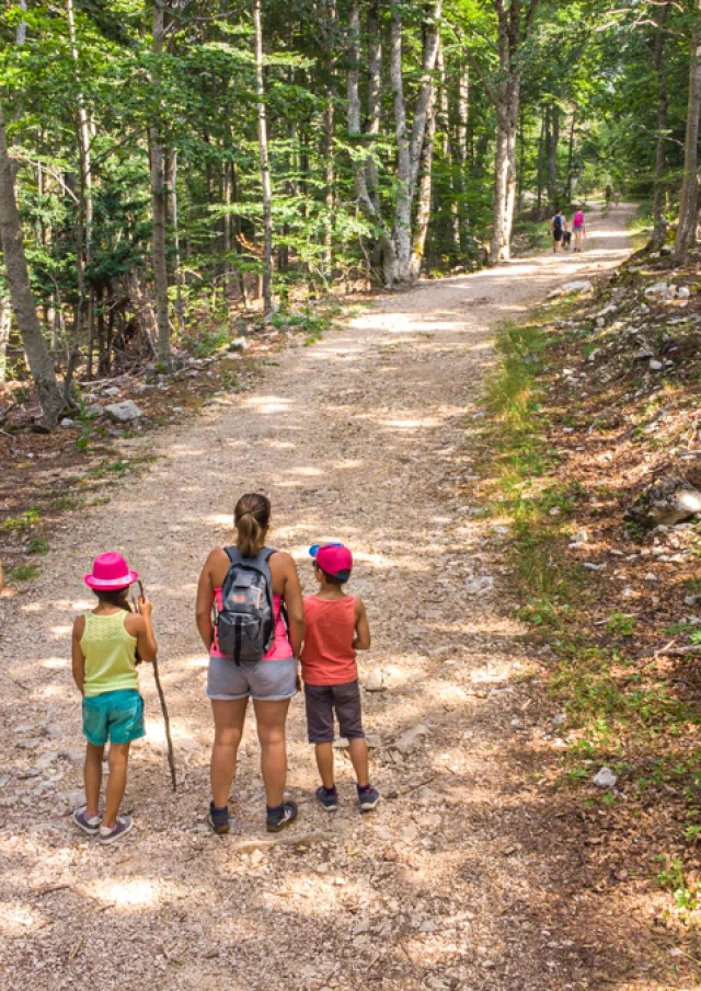 Wandelen in de Ventoux