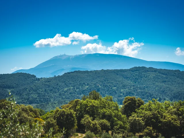 View Ventoux Vignes