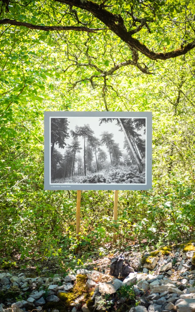 © Dorian VENZI - Le jardin singulier - Saint-Léger-du-Ventoux