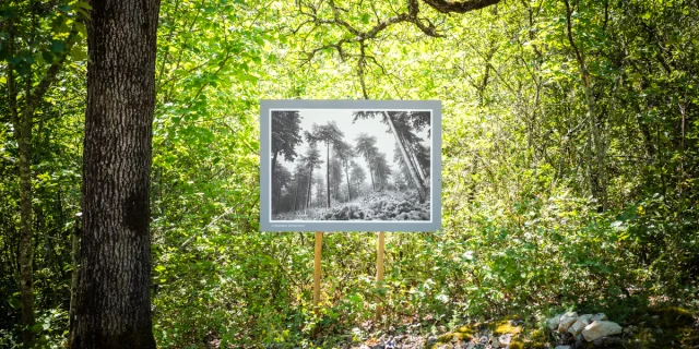 © Dorian VENZI - Le jardin singulier - Saint-Léger-du-Ventoux