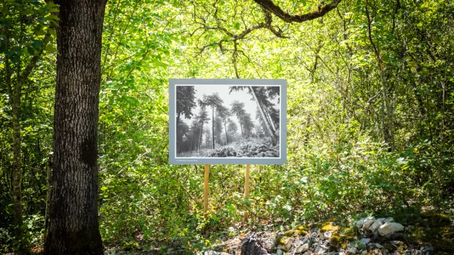 © Dorian VENZI - Le jardin singulier - Saint-Léger-du-Ventoux