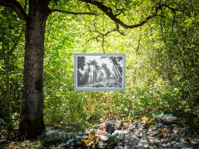 © Dorian VENZI - Le jardin singulier - Saint-Léger-du-Ventoux