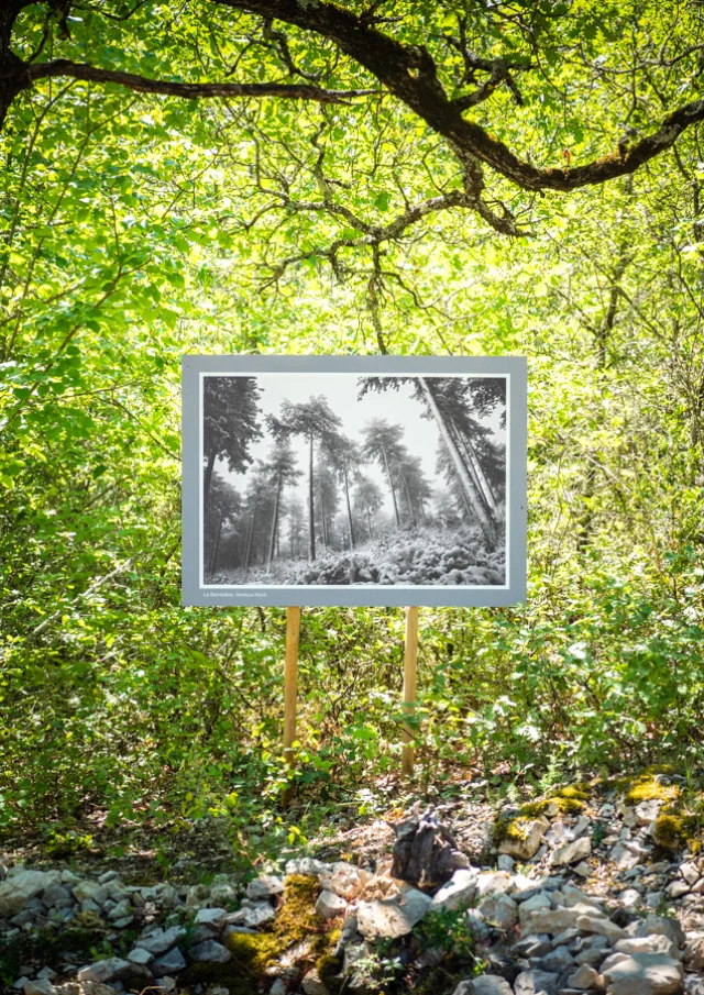 © Dorian VENZI - Le jardin singulier - Saint-Léger-du-Ventoux