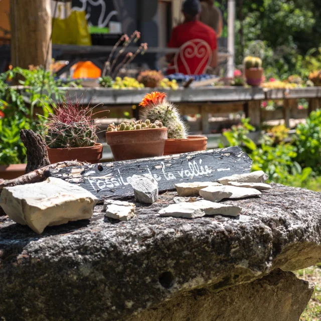 © Dorian VENZI - Le jardin singulier - Saint-Léger-du-Ventoux