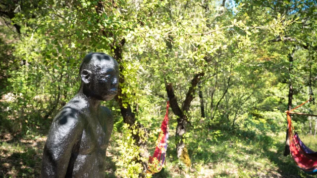 Dorian VENZI - Le jardin singulier - Saint-Léger-du-Ventoux