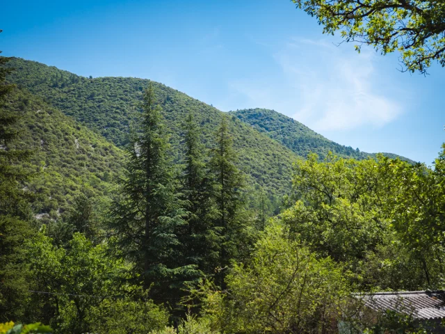 © Dorian VENZI - Le jardin singulier - Saint-Léger-du-Ventoux