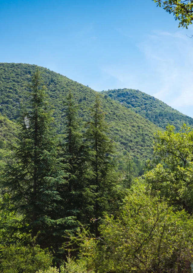 © Dorian VENZI - Le jardin singulier - Saint-Léger-du-Ventoux