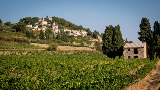 Village vigneron de Rasteau.