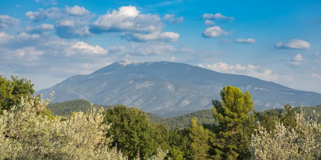 Vue sur le Mont-Ventoux