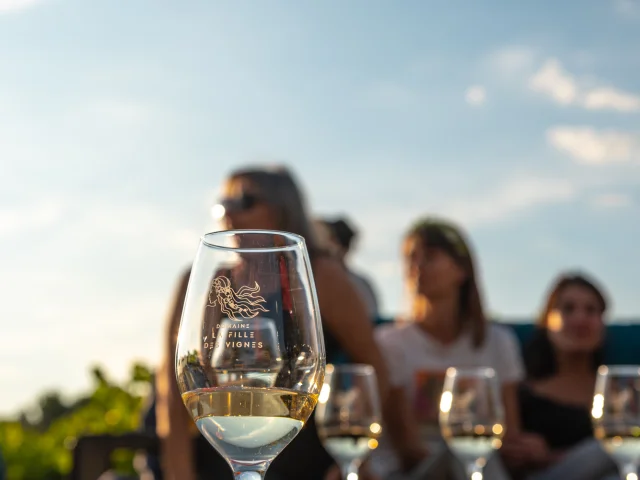 Apéro perché Youpi Tours au domaine La Fille des Vignes pour le départ de Marine