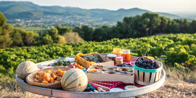 Apéro perché Youpi Tours au domaine La Fille des Vignes pour le départ de Marine