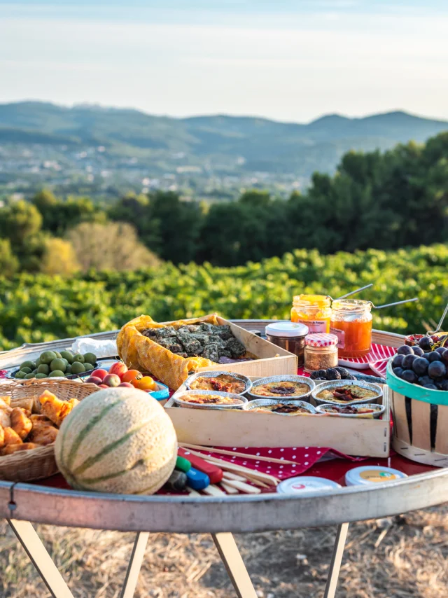 Apéro perché Youpi Tours au domaine La Fille des Vignes pour le départ de Marine