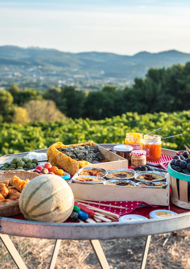 Apéro perché Youpi Tours op Domaine La Fille des Vignes voor het afscheidsfeest van Marine