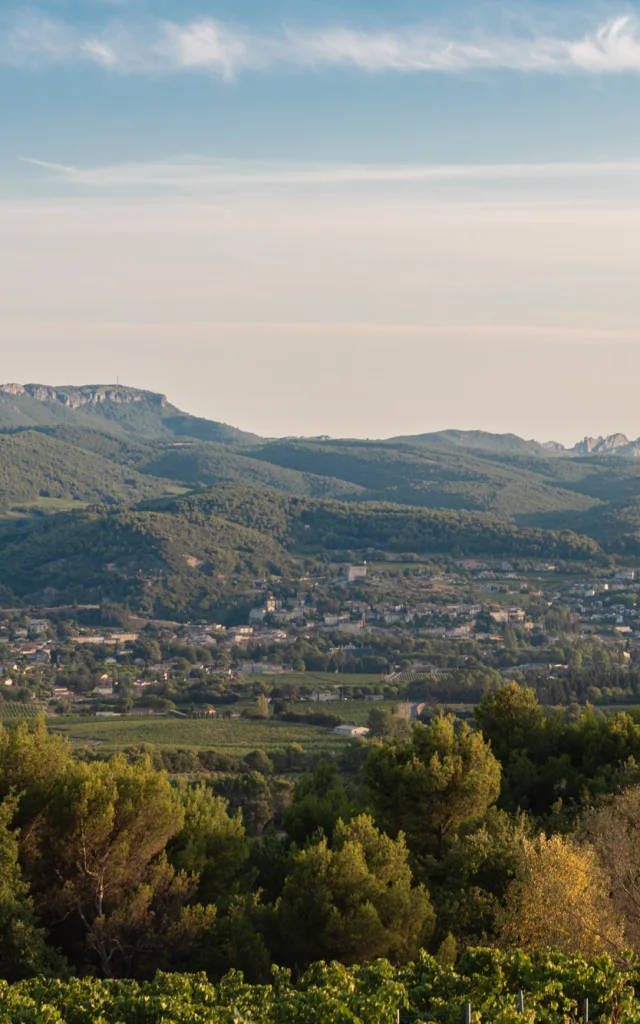 Apéro perché Youpi Tours auf dem Weingut La Fille des Vignes zum Abschied von Marine