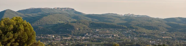 Apéro perché Youpi Tours au domaine La Fille des Vignes pour le départ de Marine