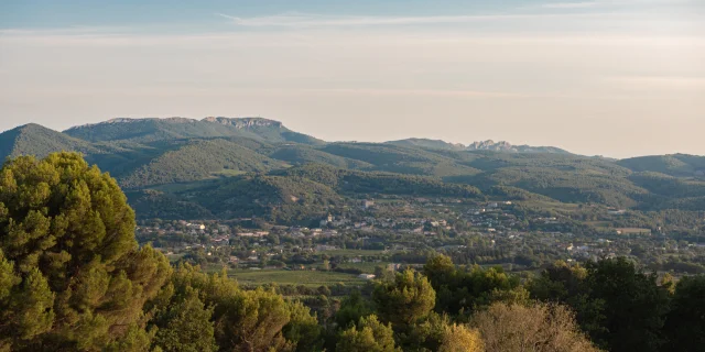 Apéro perché Youpi Tours au domaine La Fille des Vignes pour le départ de Marine