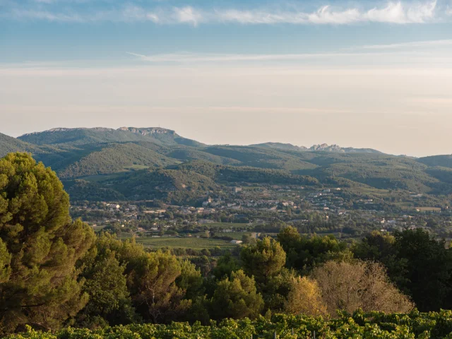 Apéro perché Youpi Tours au domaine La Fille des Vignes pour le départ de Marine