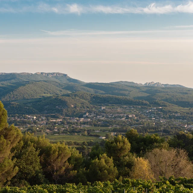 Apéro perché Youpi Tours au domaine La Fille des Vignes pour le départ de Marine