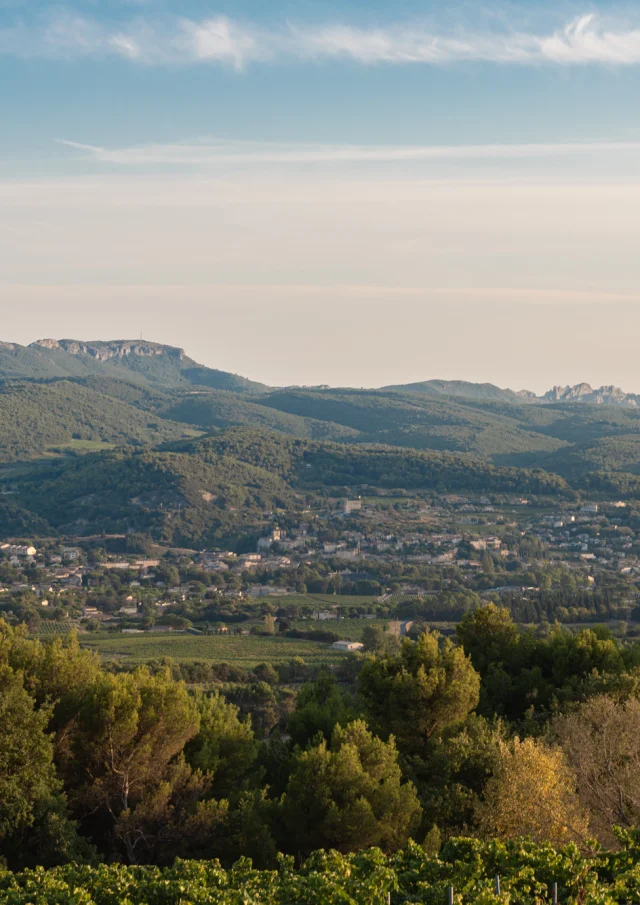 Apéro perché Youpi Tours au domaine La Fille des Vignes pour le départ de Marine