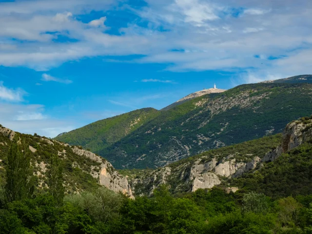 Le Mont Ventoux depuis Mollans-sur-Ouvèze